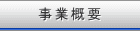 ���ƊT�v